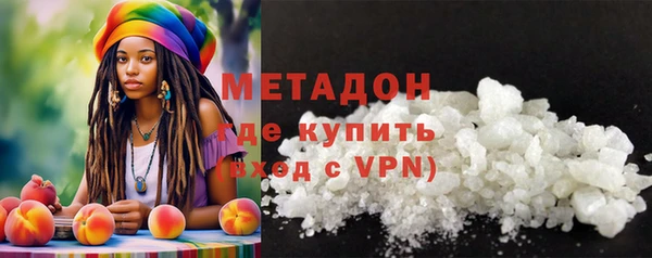 индика Алексин