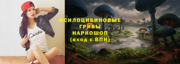 твердый Алексеевка