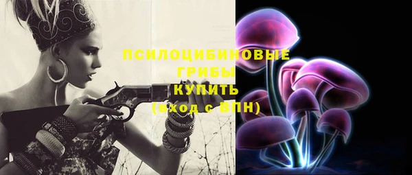 прущие грибы Алзамай
