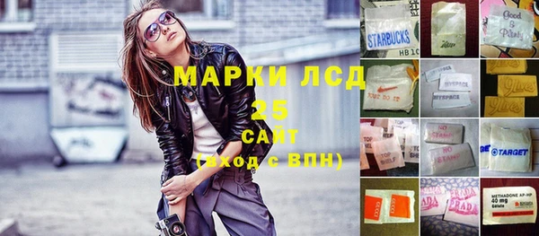 индика Алексин
