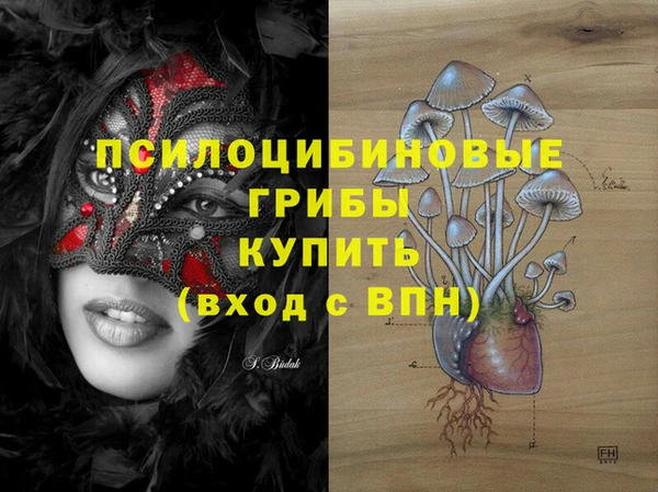твердый Алексеевка