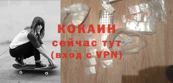 твердый Алексеевка