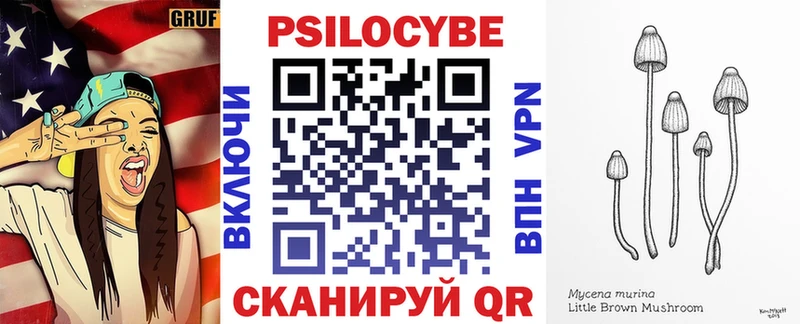 Галлюциногенные грибы Cubensis  Шлиссельбург 