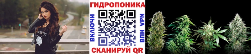 Бошки марихуана OG Kush  хочу наркоту  маркетплейс состав  Шлиссельбург 